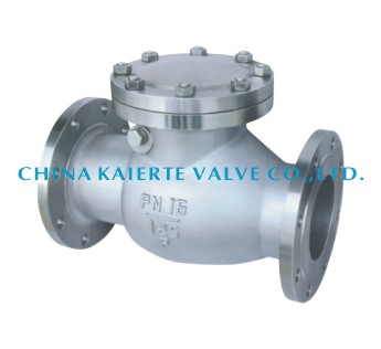 Swing check valve